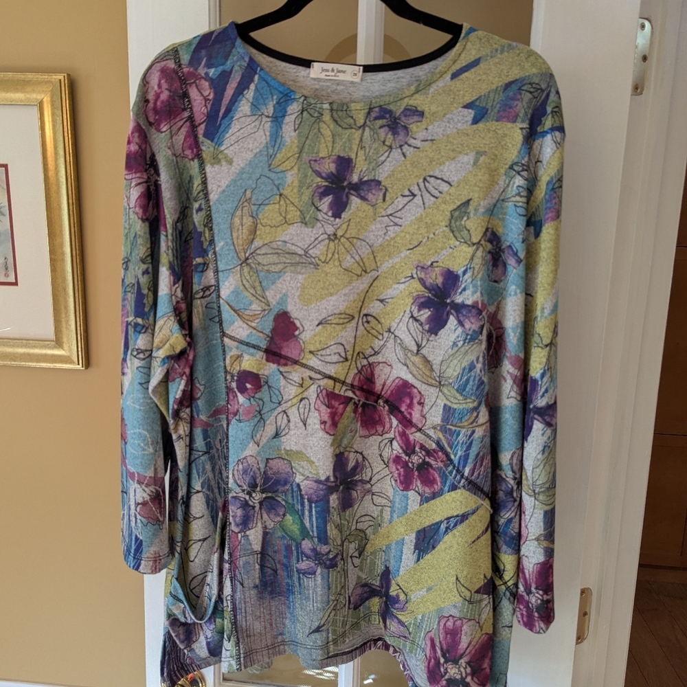 Jess & Jane Tunic Top, 2X